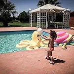 Tortuga